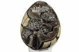 Septarian Dragon Egg Geode - Barite Crystals #196262-2